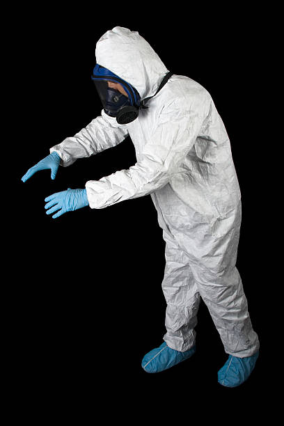 Best Mold Damage Restoration  in Los Molinos, CA